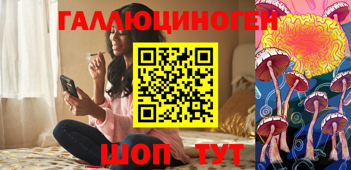 купить наркотики сайты  Галлюциногенные грибы мицелий  Назрань  Вход с VPN  Галлюциногенные грибы мицелий 